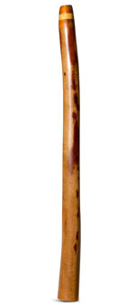 Brad Hagelstein Didgeridoo (BH058)